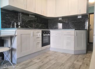 Продам квартиру студию, 26.9 м2, Санкт-Петербург, проспект Металлистов, 117, проспект Металлистов