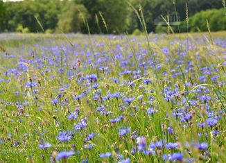 Продам земельный участок, 12 сот., поселок Николина Гора, улица Лесное Кольцо, 3