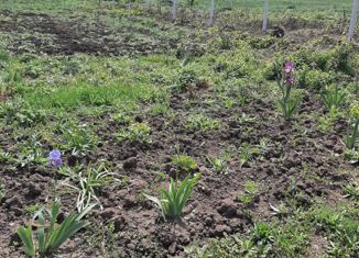 Продается участок, 12.5 сот., село Дружное, Школьная улица, 4