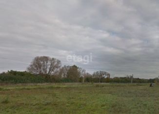 Продаю участок, 15 сот., деревня Кишкино (Прилепский сельский округ), 70Н-034