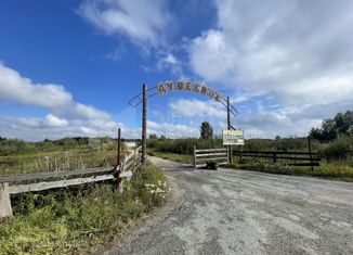Продаю участок, 10 сот., садовое товарищество Душевное