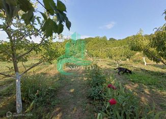 Продажа участка, 5.7 сот., СНТ Заря