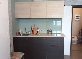 Сдается в аренду квартира студия, 24.5 м2, деревня Кудрово, Английская улица, 5