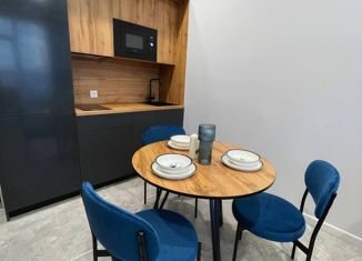 Продажа квартиры студии, 28.1 м2, Санкт-Петербург, улица Александра Матросова, 3, ЖК Притяжение