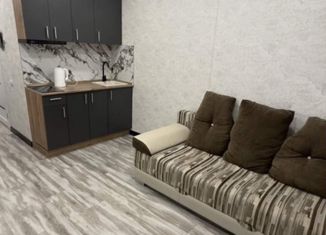 Сдается в аренду квартира студия, 19.1 м2, Тюмень