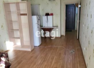 Продается квартира студия, 26 м2, Санкт-Петербург, Пулковская улица, 8к2, метро Звёздная