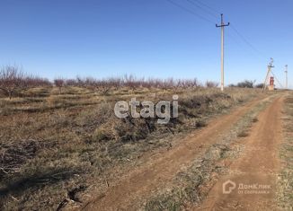 Продажа земельного участка, 7000 сот., село Владимировка