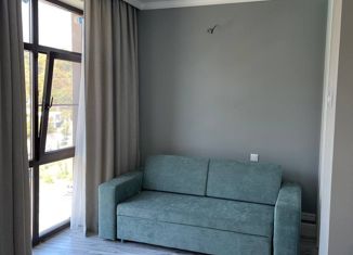 Продаю квартиру студию, 25.8 м2, Сочи, улица Метелёва, 31, микрорайон Яна Фабрициуса