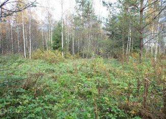 Продается участок, 30 сот., Валдай, 1-я Братская улица