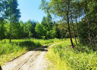 Земельный участок на продажу, 10 сот., деревня Белугино, деревня Белугино, 16