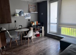 Продается квартира студия, 23 м2, посёлок Голубево, Изумрудная улица, 25