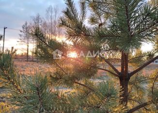 Продажа участка, 3 сот., деревня Кобралово, деревня Кобралово, 14