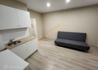 Продам квартиру студию, 22.81 м2, Санкт-Петербург, муниципальный округ Гагаринское, Московское шоссе