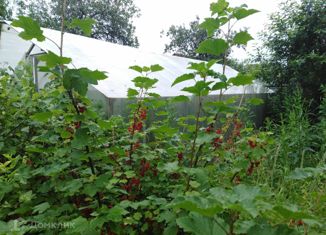 Продажа участка, 6 сот., СНТ Лукошкино, СНТ Лукошкино, 186