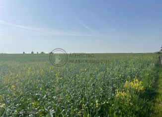 Продается земельный участок, 490 сот., село Столбище, Лесхозовская улица