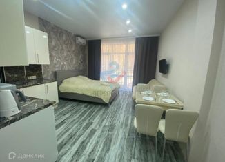 Продается 1-ком. квартира, 28 м2, село Эстосадок, Эстонская улица, 9/4, ЖК Red Glade