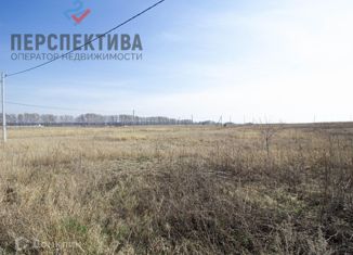 Продажа участка, 15 сот., село Луговое, улица Кузяшина