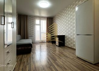 Продается однокомнатная квартира, 23.8 м2, Новосибирская область, улица Забалуева, 92