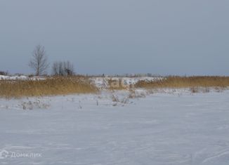 Продам участок, 526 сот., рабочий посёлок Шипицыно, улица Павла Кожина