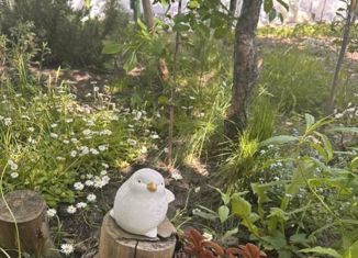 Дом на продажу, 41.5 м2, Калининград, Центральная площадь