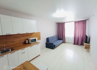 Квартира на продажу студия, 27 м2, Ростов-на-Дону, улица Теряева, 8