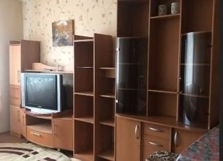Сдам в аренду 2-комнатную квартиру, 40 м2, Вологда, Залинейная улица, 26Б, микрорайон Станкозавод