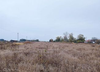 Продаю земельный участок, 20 сот., село Плахино