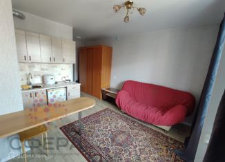 Сдается в аренду квартира студия, 22 м2, посёлок Садовый, микрорайон Околица, 1