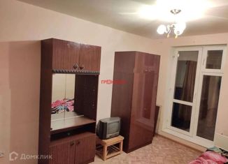 Продается квартира студия, 19 м2, Новосибирск, Березовая улица, 19, Березовая улица