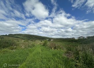 Продаю участок, 25 сот., село Бородулино, улица 1 Мая, 13