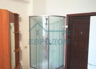 Продается 1-ком. квартира, 20.3 м2, Новосибирск, метро Студенческая, улица Ватутина, 39