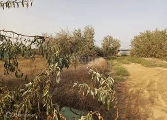 Продается участок, 6 сот., поселок городского типа Новофёдоровка, Центральная площадь