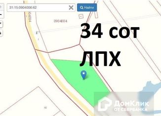 Продаю участок, 34 сот., село Беловское