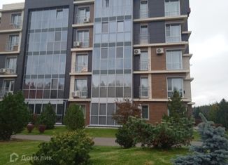 Продам 1-комнатную квартиру, 46 м2, Казань, улица Генерала Ерина, 9, ЖК Времена года