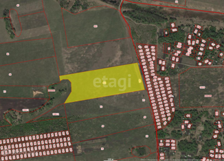 Продаю участок, 1153.3 сот., деревня Старцево, Центральная улица