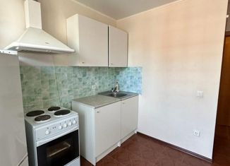 Продается однокомнатная квартира, 28.6 м2, посёлок Берёзовый, ЖК Прогресс, улица имени А.Н. Лодыгина, 5