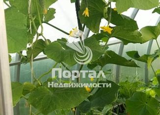 Продаю дом, 15 м2, СНТ Ногинка, СНТ Ногинка, 36