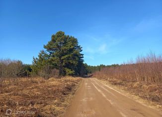 Продажа участка, 46 сот., деревня Сорокино