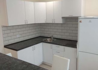 Сдается в аренду однокомнатная квартира, 24.1 м2, поселок городского типа Стройкерамика, улица Петра Монастырского, 6