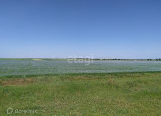 Продам участок, 76.9 сот., село Ивановка