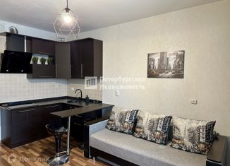 Продам квартиру студию, 24.1 м2, Мурино, Охтинская аллея, 2, ЖК Мой Город