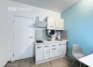 Квартира в аренду студия, 26 м2, Санкт-Петербург, Варфоломеевская улица, 6, метро Ломоносовская