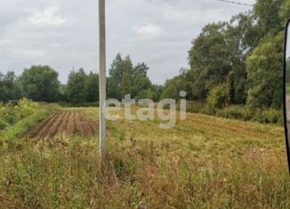 Земельный участок на продажу, 24.3 сот., деревня Терентьево