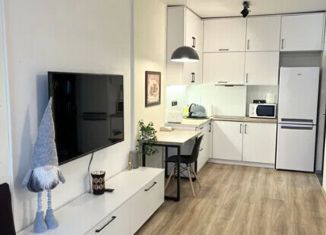 1-комнатная квартира на продажу, 31 м2, село Орёл-Изумруд, улица Гастелло, 40А