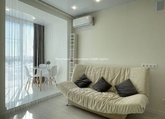 Сдача в аренду квартиры студии, 18.7 м2, Хабаровский край, Воронежское шоссе, 1А