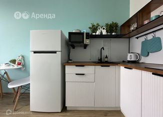 Сдается квартира студия, 26 м2, Санкт-Петербург, Варфоломеевская улица, 6, Невский район