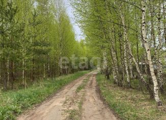 Продаю участок, 105.8 сот., деревня Зимний Борок