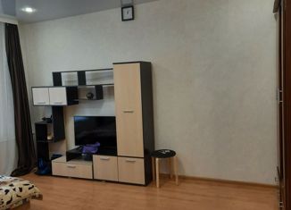 Продается двухкомнатная квартира, 43 м2, Нижний Новгород, улица Героя Советского Союза Васильева, 30, метро Автозаводская