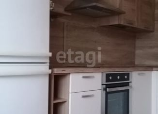 Сдаю в аренду однокомнатную квартиру, 44.1 м2, Екатеринбург, улица Калинина, 7, ЖК Северное Сияние