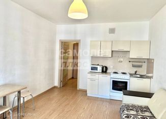 Продажа квартиры студии, 26.7 м2, деревня Кудрово, Столичная улица, 5к2